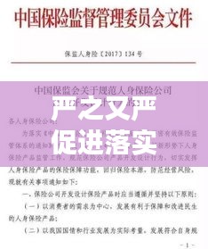 严之又严促进落实：严抓落实的近义词 