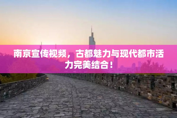 腾龙换鸟 第2页