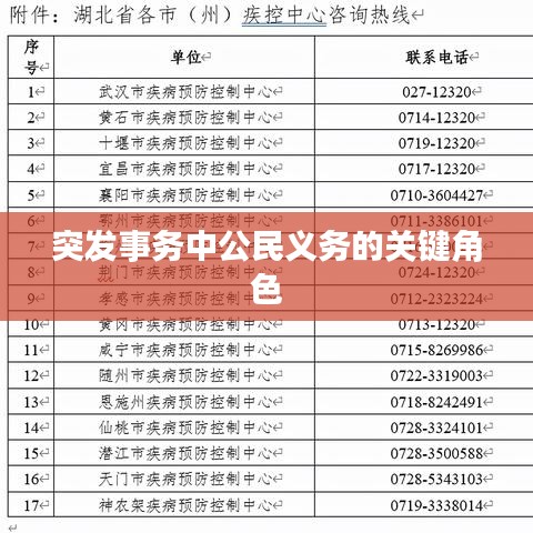突发事务中公民义务的关键角色