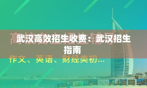 武汉高效招生收费：武汉招生指南 