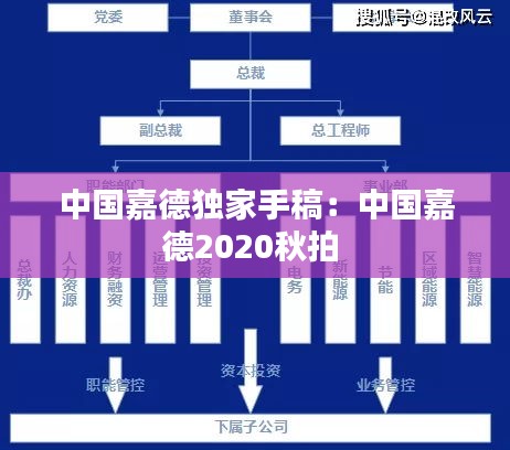 中国嘉德独家手稿：中国嘉德2020秋拍 