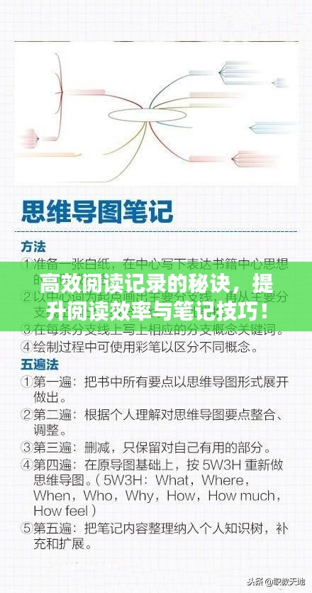 高效阅读记录的秘诀，提升阅读效率与笔记技巧！
