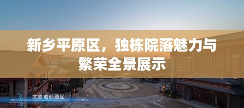 新乡平原区，独栋院落魅力与繁荣全景展示