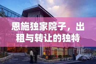 物稀为贵 第3页