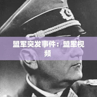 盟军突发事件：盟军视频 