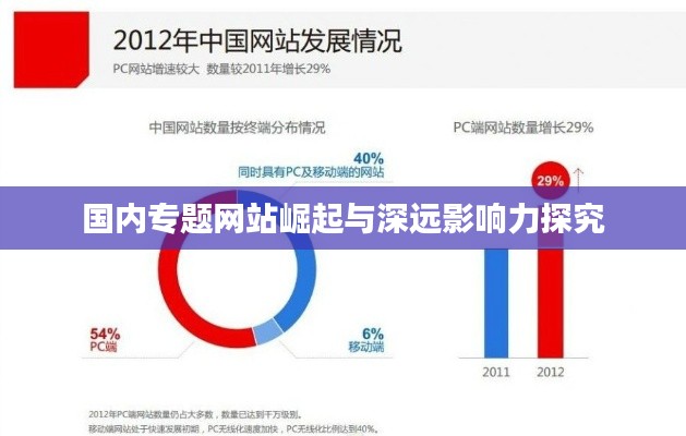 国内专题网站崛起与深远影响力探究