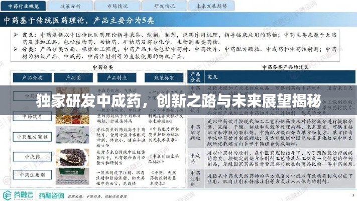独家研发中成药，创新之路与未来展望揭秘