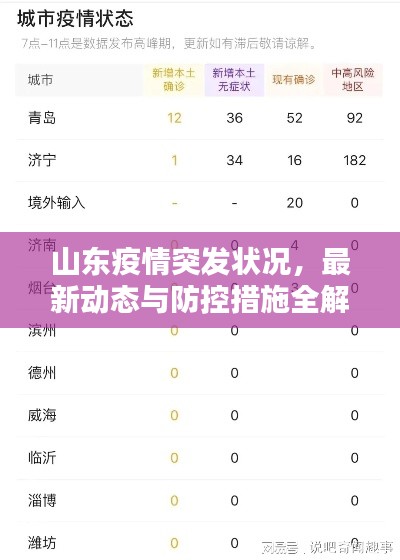山东疫情突发状况，最新动态与防控措施全解析