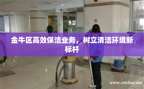 金牛区高效保洁业务，树立清洁环境新标杆
