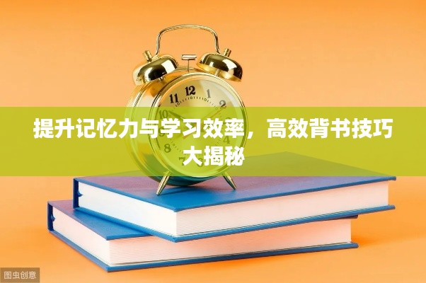 提升记忆力与学习效率，高效背书技巧大揭秘