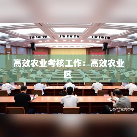 高效农业考核工作：高效农业区 