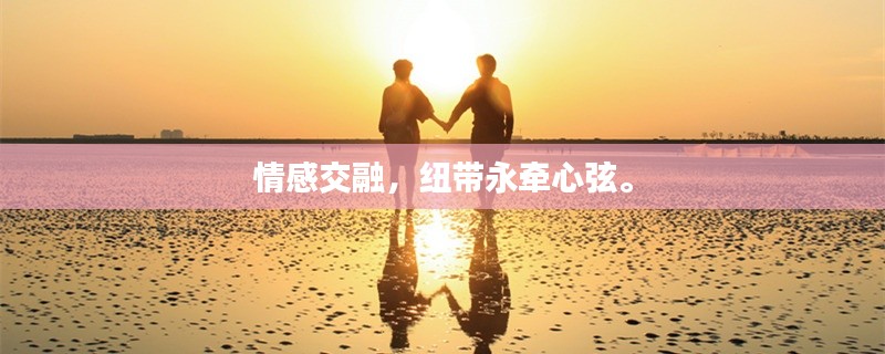 情感交融，纽带永牵心弦。