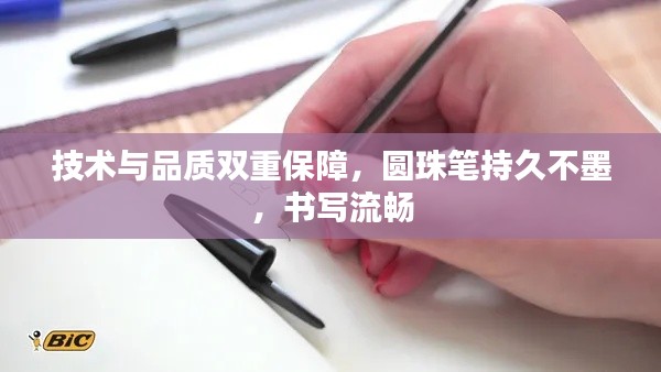 惊弓之鸟 第2页