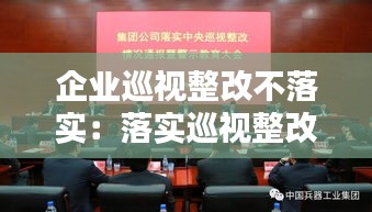 企业巡视整改不落实：落实巡视整改不力 