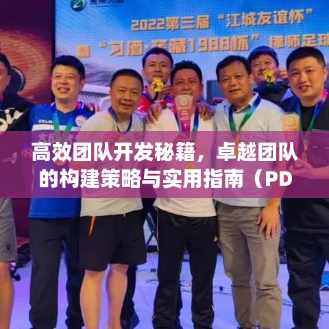 高效团队开发秘籍，卓越团队的构建策略与实用指南（PDF）