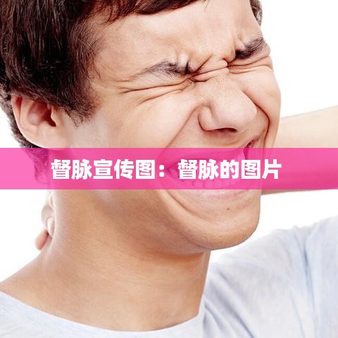 督脉宣传图：督脉的图片 