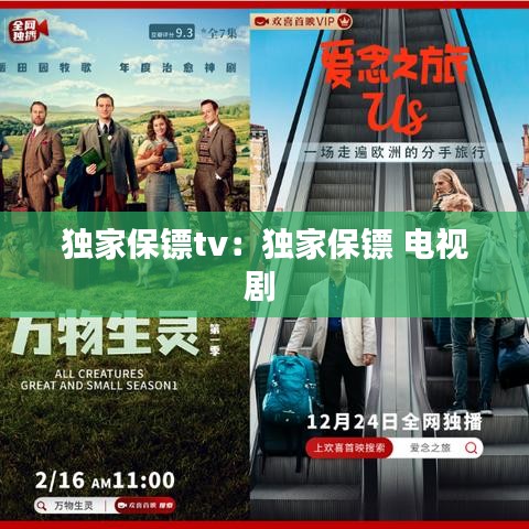 独家保镖tv：独家保镖 电视剧 