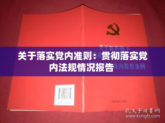 关于落实党内准则：贯彻落实党内法规情况报告 