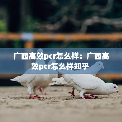 广西高效pcr怎么样：广西高效pcr怎么样知乎 