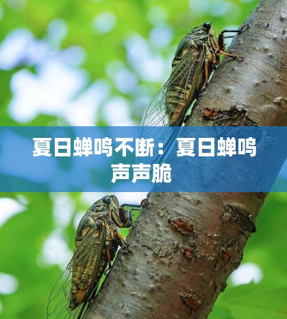 夏日蝉鸣不断：夏日蝉鸣声声脆 