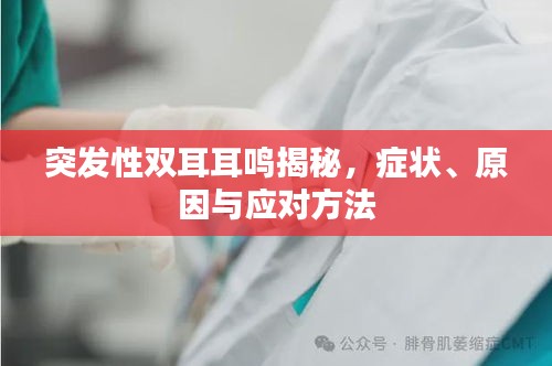 突发性双耳耳鸣揭秘，症状、原因与应对方法