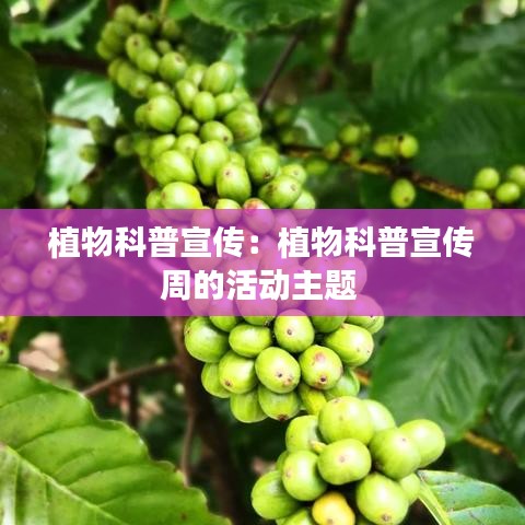 植物科普宣传：植物科普宣传周的活动主题 