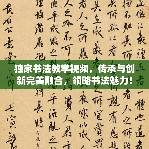 独家书法教学视频，传承与创新完美融合，领略书法魅力！