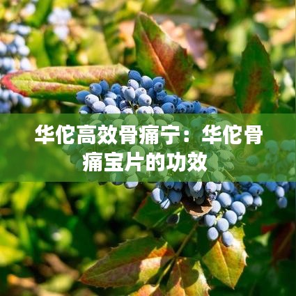 华佗高效骨痛宁：华佗骨痛宝片的功效 