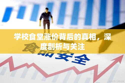 学校食堂涨价背后的真相，深度剖析与关注
