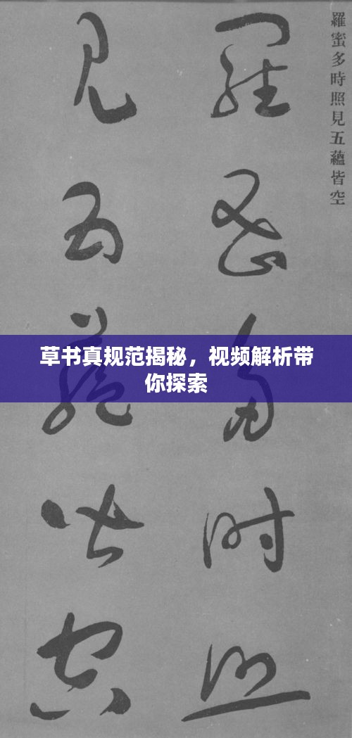 草书真规范揭秘，视频解析带你探索