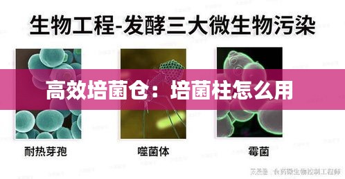 高效培菌仓：培菌柱怎么用 