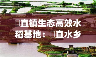 甪直镇生态高效水稻基地：甪直水乡文化 