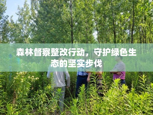 森林督察整改行动，守护绿色生态的坚实步伐
