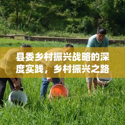 县委乡村振兴战略的深度实践，乡村振兴之路的探索与落实
