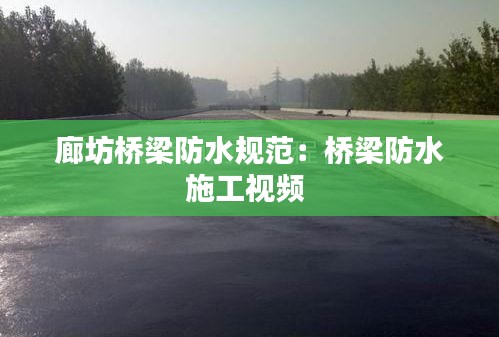 廊坊桥梁防水规范：桥梁防水施工视频 