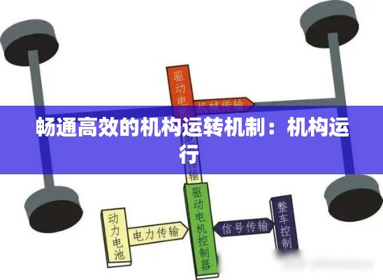 畅通高效的机构运转机制：机构运行 