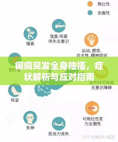 癫痫突发全身抽搐，症状解析与应对指南