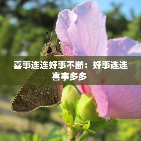 喜事连连好事不断：好事连连喜事多多 