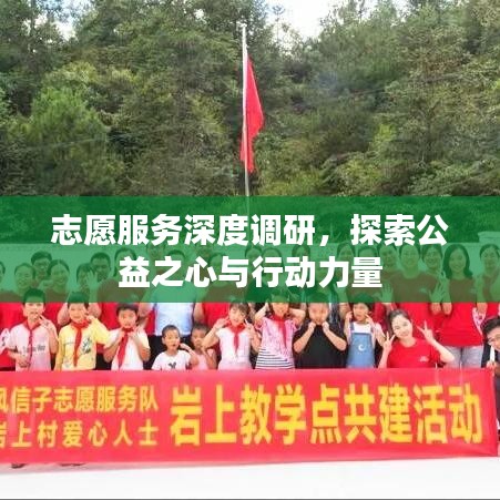 志愿服务深度调研，探索公益之心与行动力量