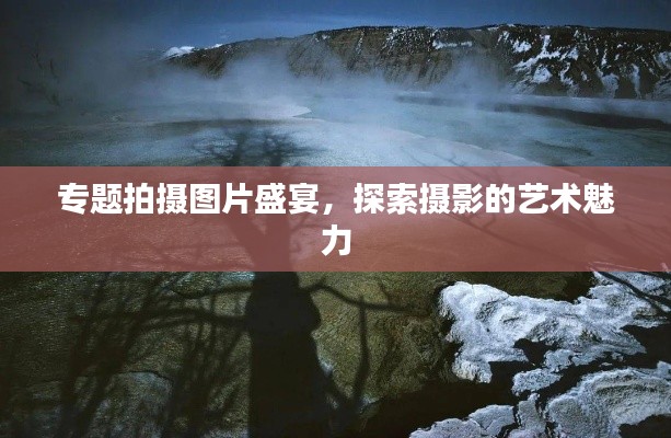 专题拍摄图片盛宴，探索摄影的艺术魅力