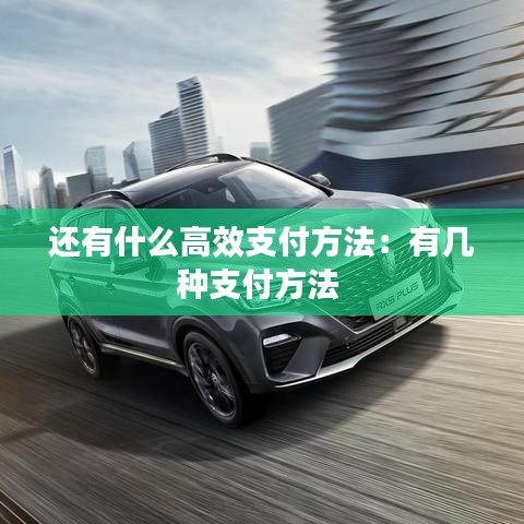 还有什么高效支付方法：有几种支付方法 