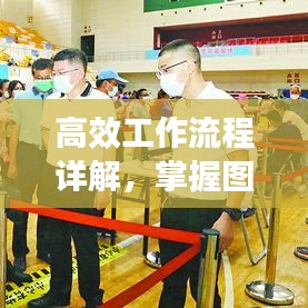 高效工作流程详解，掌握图片展示，理解优化工作流程之道