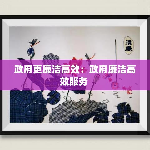 政府更廉洁高效：政府廉洁高效服务 
