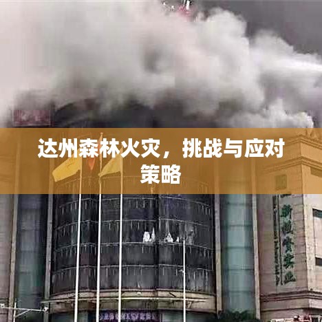 达州森林火灾，挑战与应对策略