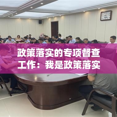 政策落实的专项督查工作：我是政策落实督察员 