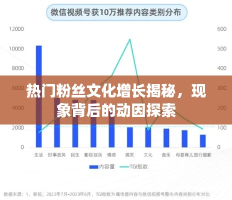 热门粉丝文化增长揭秘，现象背后的动因探索