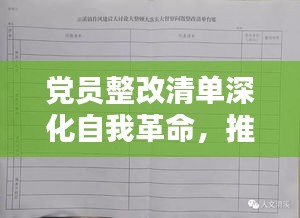 党员整改清单深化自我革命，推动党的先进性建设大提速