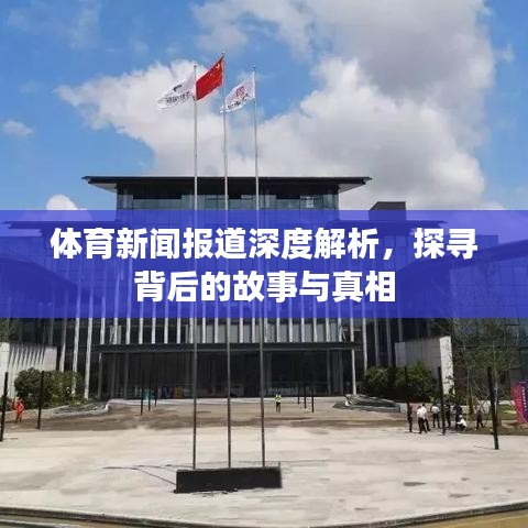 体育新闻报道深度解析，探寻背后的故事与真相