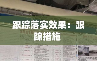 跟踪落实效果：跟踪措施 