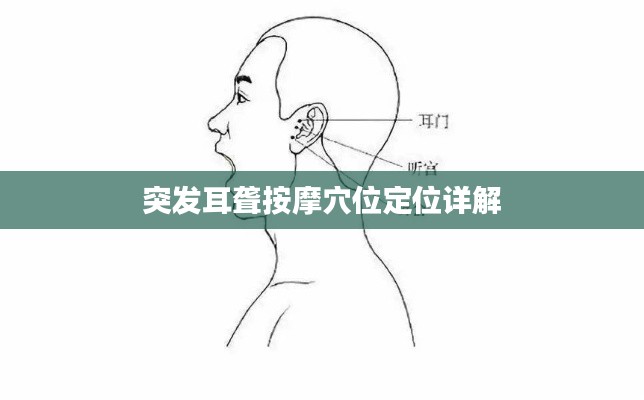 突发耳聋按摩穴位定位详解